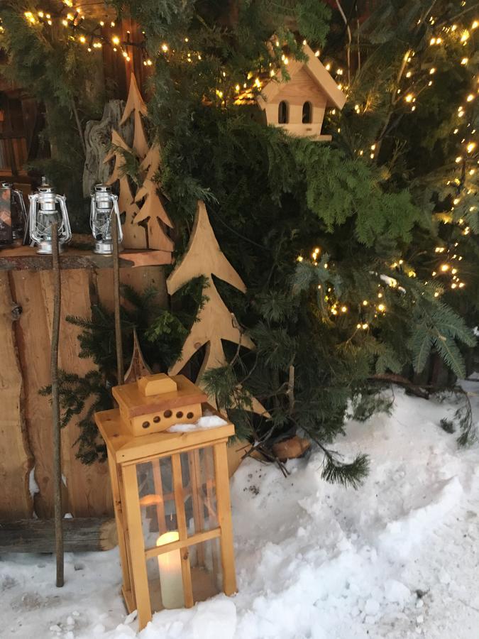 Pension & Appartements Ronacherhof Bad Kleinkirchheim Eksteriør bilde